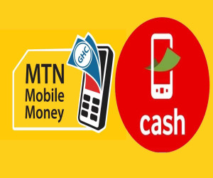 MTN Momo Payment